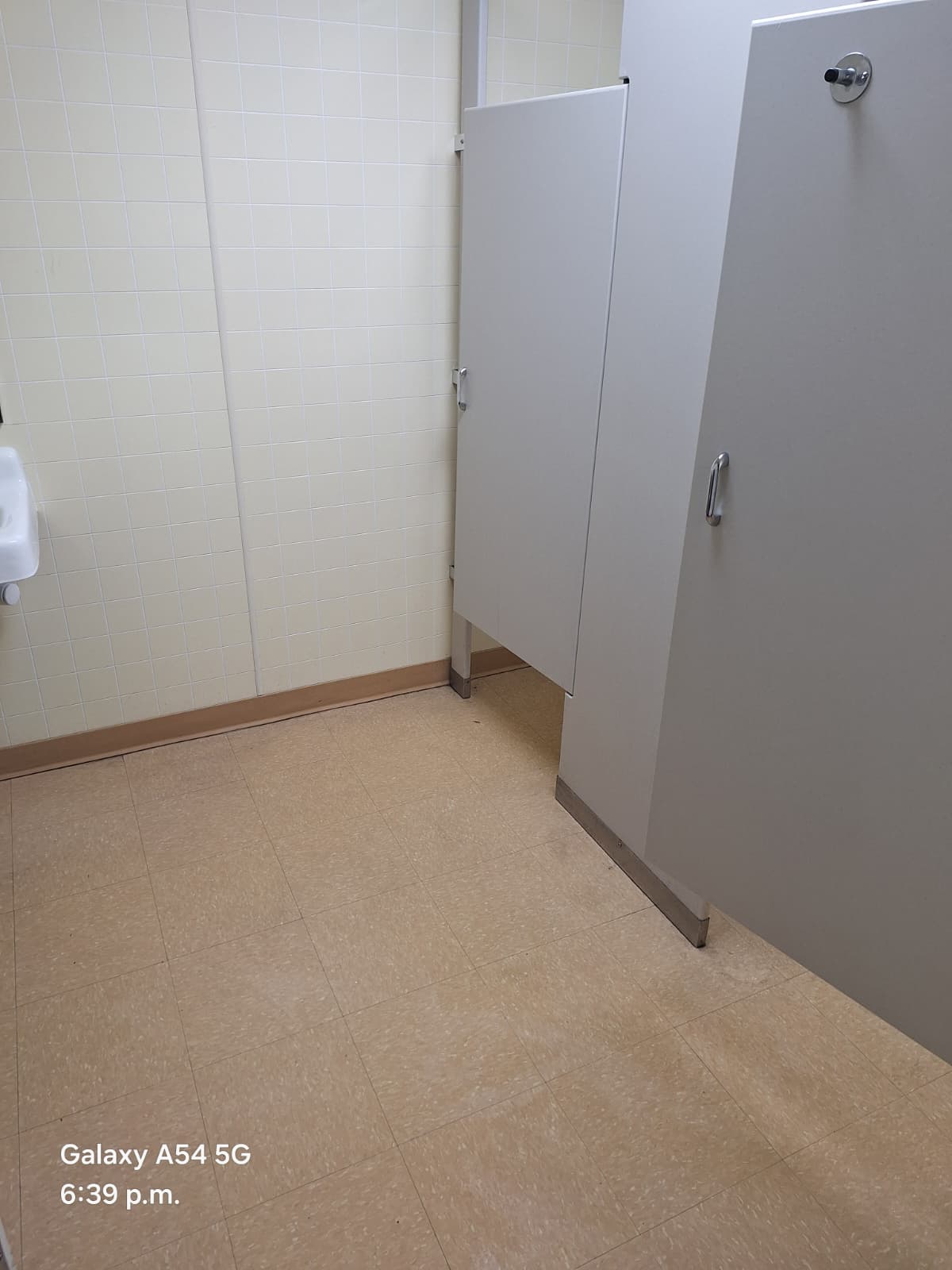 WhatsApp Image 2026-02-27 at 11.39.55 PM.jpeg